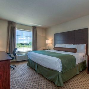 King Room Disability Access